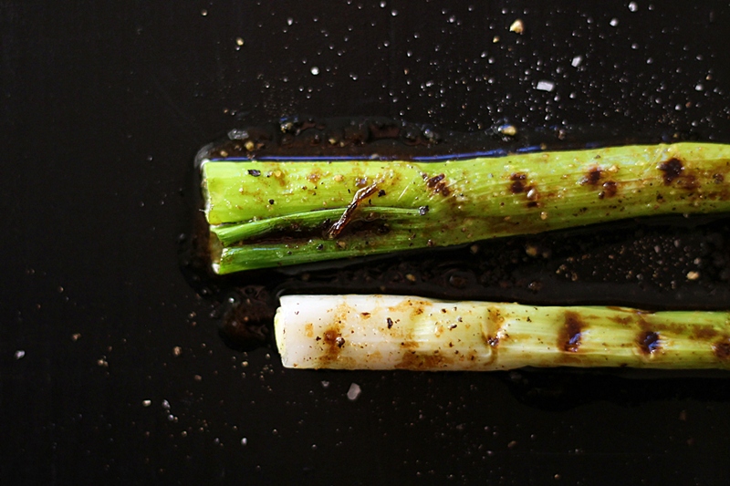 Grilled spring onions, close up