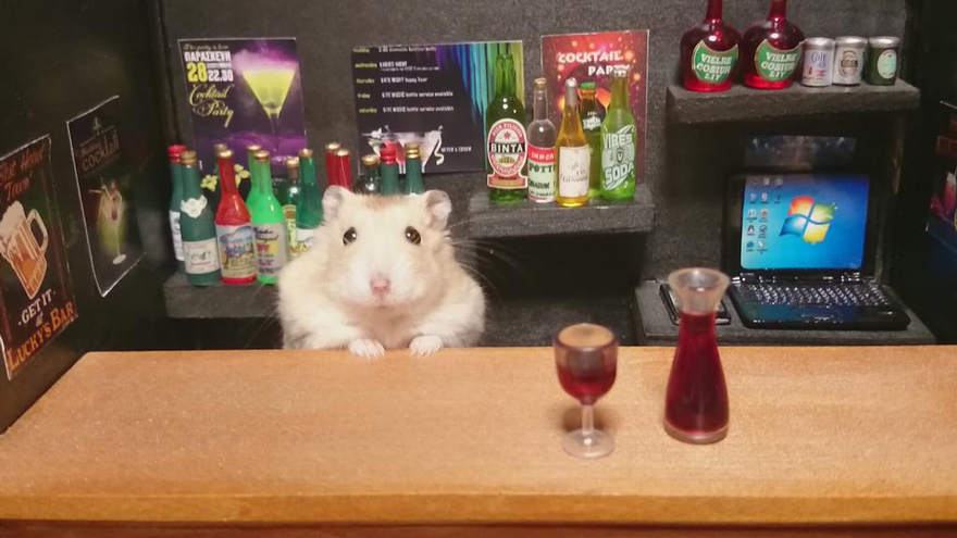 hamster bartender 1