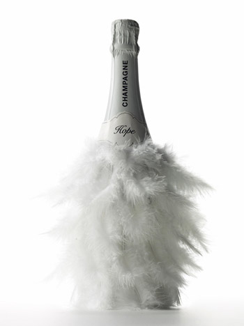 Champagne bottle with white feathers