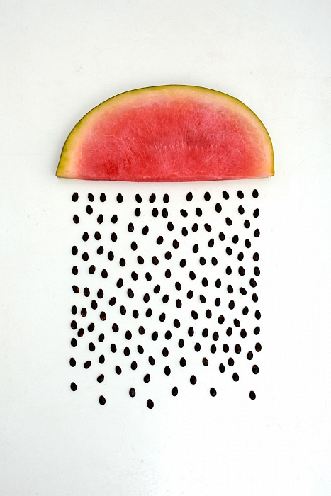 fruit art by sarah illenberger 