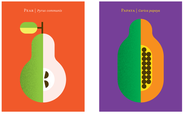Minimalistic posters of fruit and vegetables
