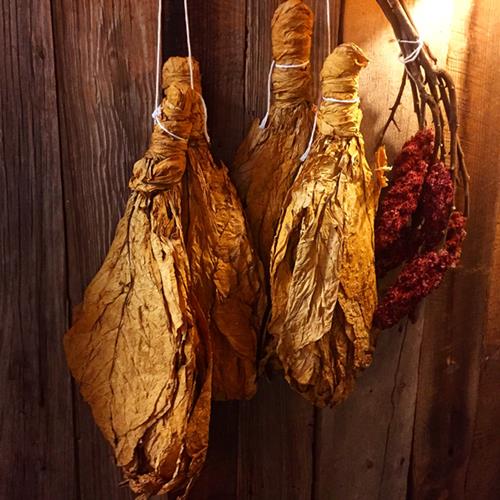 Clark Barlowe Interview, Chef Q&A Ateriet