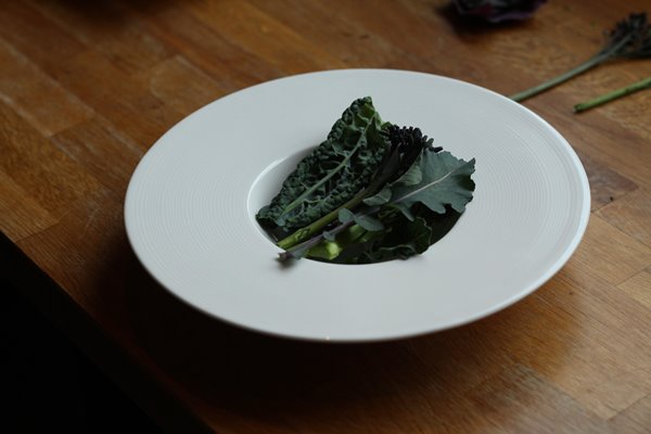 Kale and Broccoli with goat cheese snow, leek ash & liquorice