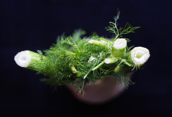 A-Z Food Photography Project - F is for Fennel