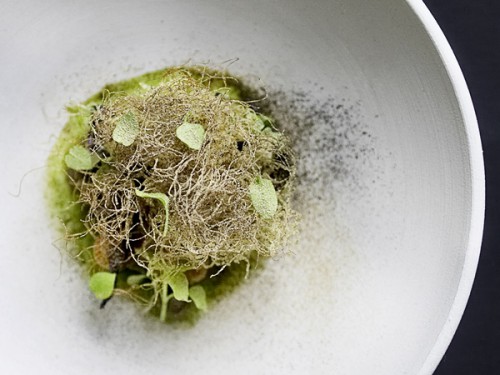 Chef Q&A with Søren Selin of AOC Restaurant in Copenhagen, Denmark at Ateriet.com