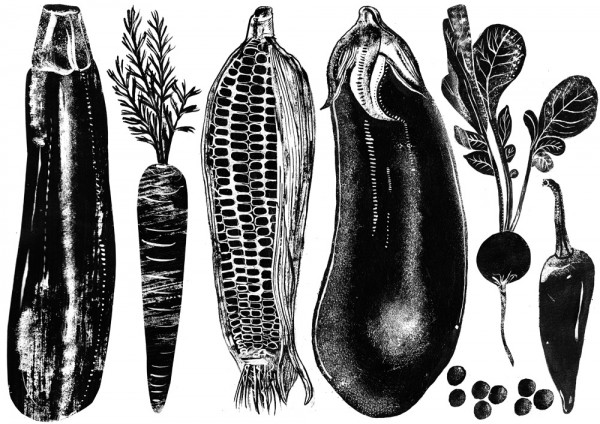 Food Illustrations in black and white by Alice Pattullo