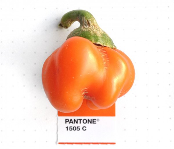 Why is everyone matching Pantone with Food?