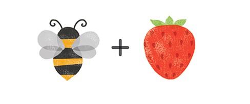 Cute Honey Packaging combines Honey with Berries