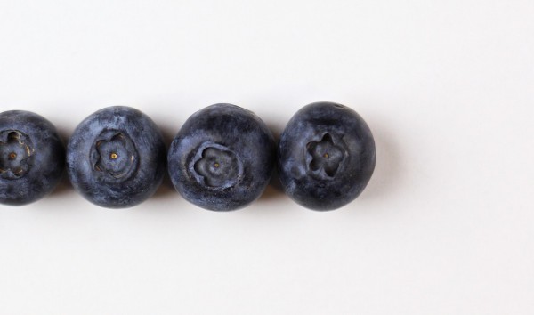 Blueberries and Bilberries