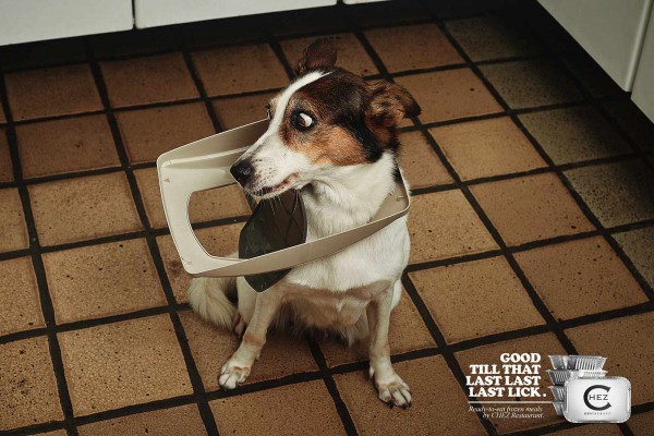 Dogs Stuck in Waste Baskets for the fun Chez Restaurant Ads