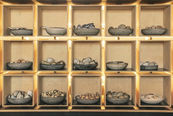 Eating at Noma - How I ate the most expensive lunch in my life and still walked away smiling.