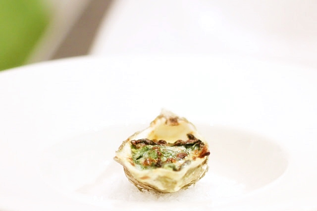 Gratinated Oysters with Garlic, Cream, Spinach and Parmesan Cheese