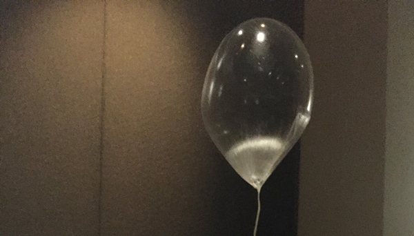 Eating at Alinea Turned Out To Be A Sweet Experience - In A Bad Way