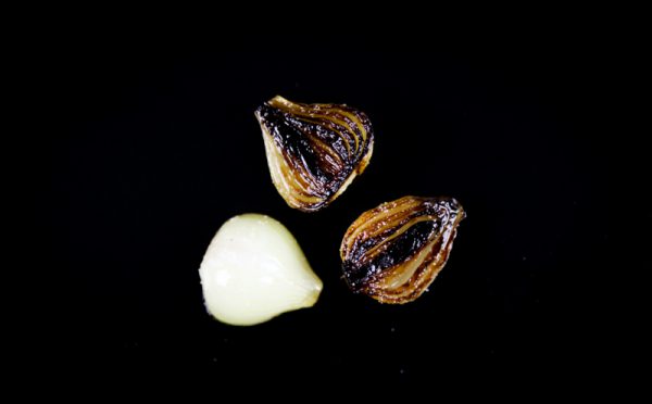Three Types of Onions with Sunchoke Cream and Cress