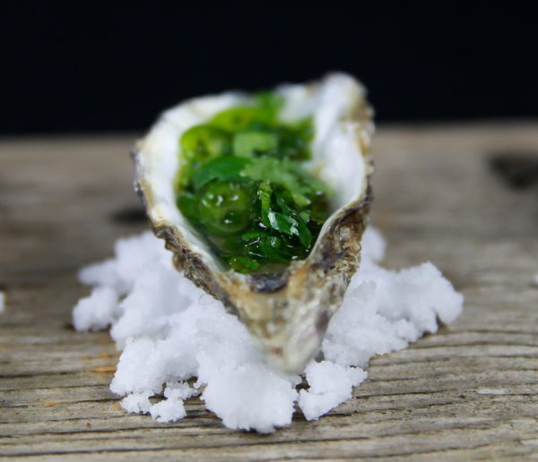 4 Simple and Great Tasting Fresh Oyster Toppings - get them at Ateriet.com