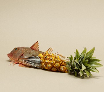fish and a pineapple