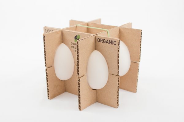 Creative Egg Packaging Designs – How To Package Eggs