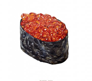 Sushi illustration food illustrations