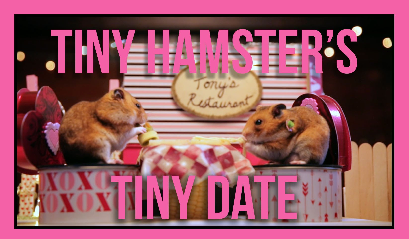 hamsters on date