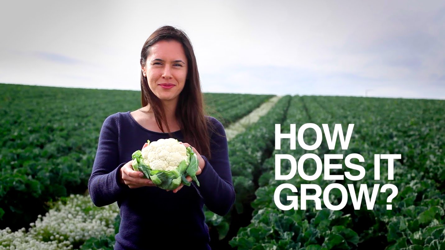 How Cauliflower grows