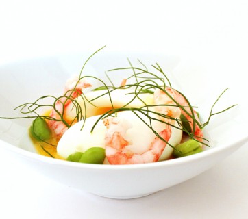 egg with dill and shrimps