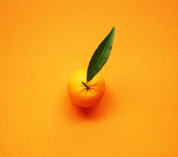 Mandarin Citrus Fruit Still Life Photography, cool photos of citrus fruits, see them all at Ateriet.com