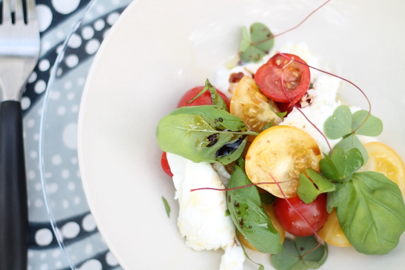 Mozzarella with Basil, Tomatoes and Wood Sorrel