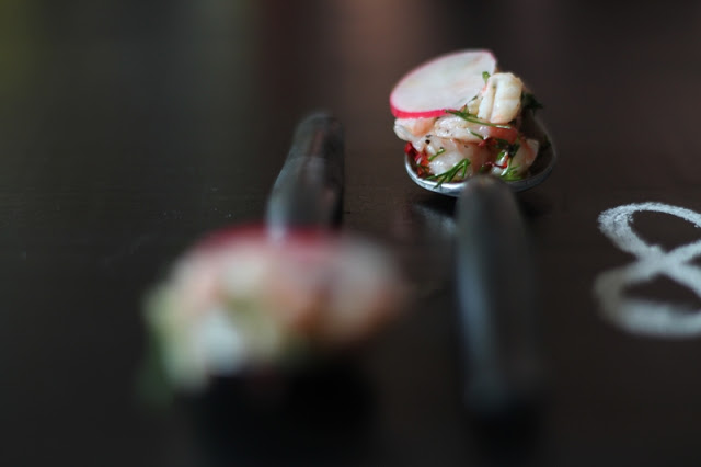 Dilled Shrimps with Radishes, Chili and Lemon