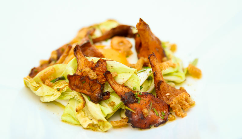 Fried Cabbage, Egg, Chanterelles, Herbs and Croutons