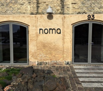 Eating at Noma - How I ate the most expensive lunch in my life and still walked away smiling.