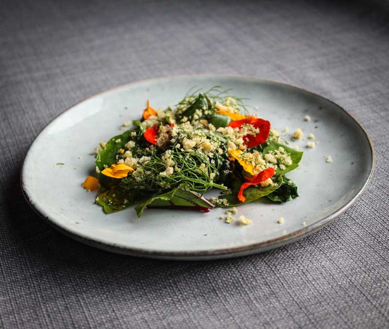 Pork Crouton Salad With Cress And Fennel