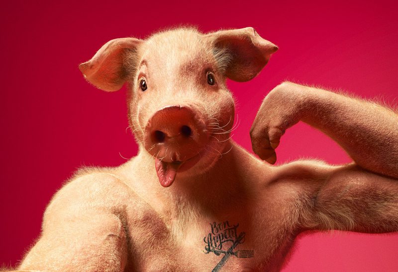 Animal Selfies Taken To The Next Level by Cristian Girotto