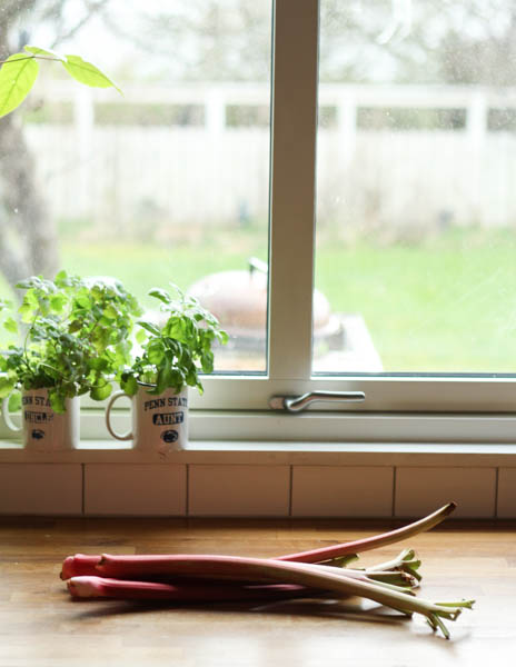 Everything You Need To Know About Rhubarb