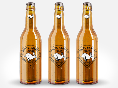 25 Minimalistic Beer Packaging Designs
