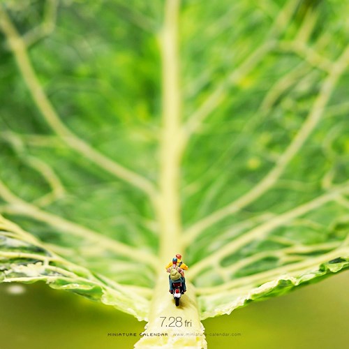Discover The Wonderful Miniature Calendar Food Photos