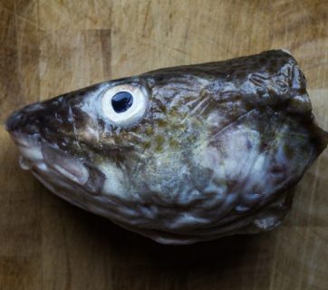 Fish May Prevent Parkinson's Disease