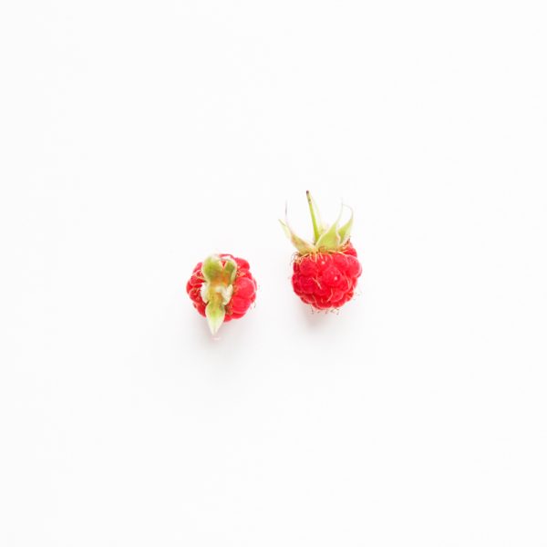 Garden Berries Photography from a Swedish Garden