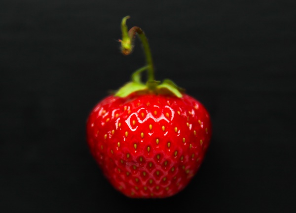 Strawberries - Everything You Need To Know About Strawberries