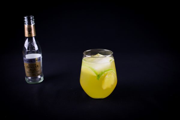 Bourbon Apple Ginger Ale Cocktail Recipe